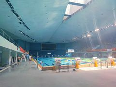 -重庆市奥林匹克体育中心-游泳跳水馆