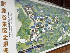 -野象谷景区