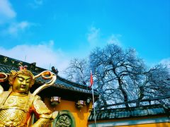-灵顺寺