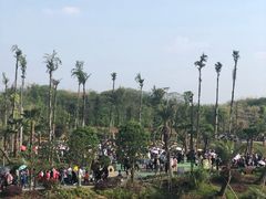 -枫香湖儿童公园