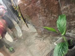 -上海大自然野生昆虫馆(东方明珠·爬宠昆虫探索中心)