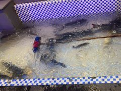 -山河屯铁锅炖鲜鹅·东北菜(开发区一店)