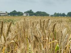 -中国天府农业博览园