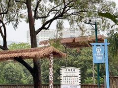 -深圳野生动物园