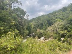 -海南热带雨林国家公园吊罗山景区