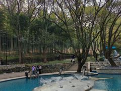 -东明山森林公园