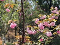 -合肥三国新城遗址公园