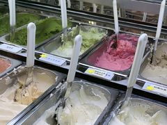 -鹤茶野所(上海首店)
