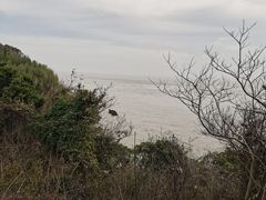 -平湖九龙山旅游度假区