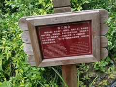 -夏霖九天银瀑风景区