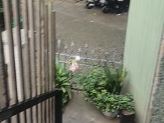 -镇南锅盖面馆(解放路店)