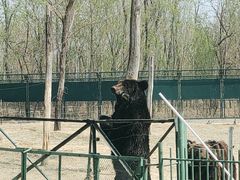 -秦皇岛野生动物园