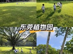 -东莞植物园