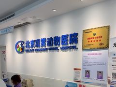 -北京观赏动物医院·24小时大型综合·猫专科·异宠专科