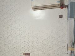 -点石家装(新化店)