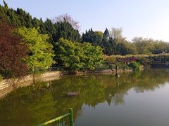 -嘉定紫藤园