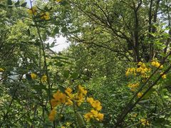 -千龙湖生态旅游度假区