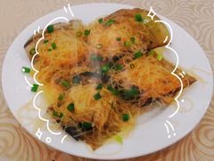 元贝粉丝-湛江渔港·大排档(乐园路总店)