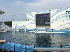 -北戴河圣蓝海洋公园