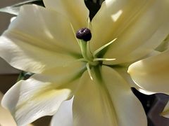 -Me Coffee下午茶艺术空间