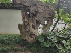 -上海醉白池公园