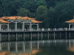 -广州市白云山风景名胜区