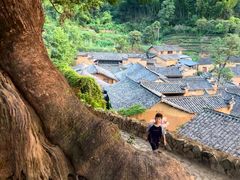 -杨家堂村