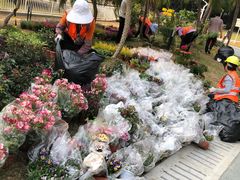 -人民公园(罗湖区)