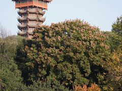 -塔子山公园
