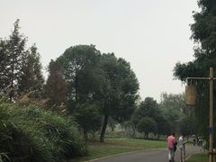 -梁鸿国家湿地公园