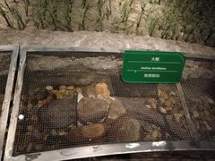 -中国湿地博物馆