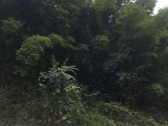 -青城两河漂流