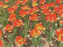 -廊坊文化艺术中心