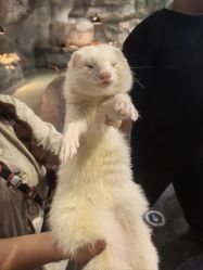 -Zoolung Zoolung动物主题公园(海信广场店)