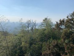-紫金山山顶公园