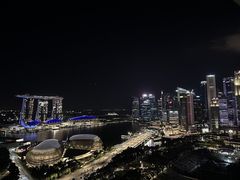 -新加坡瑞士史丹福酒店