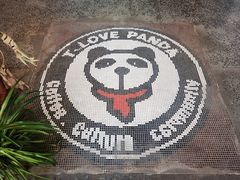 -腾爱熊猫咖啡生活馆(老东门店)