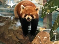 -绿色星球动物主题公园
