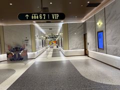 -英皇电影城(平安金融中心IMAX激光店)