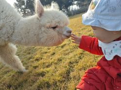 -DORA kids 朵拉儿童摄影花园店