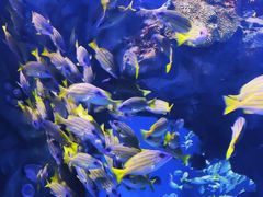 -海合安武汉极地海洋公园