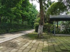 -江湾神木园