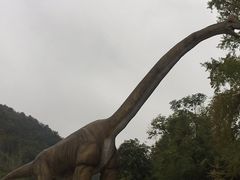 -千年银杏谷文化旅游区