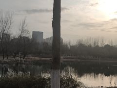 -滨湖塘西河公园