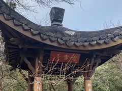 -杭州植物园