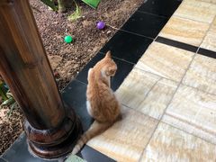 -龙达温泉生态城