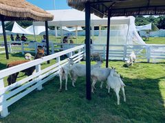 -宁波冰雪大世界(北仑区)