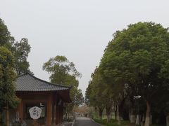 -长田漾湿地公园