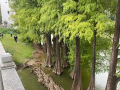 -华南国家植物园-售票处