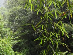 -西岭雪山大飞水景区